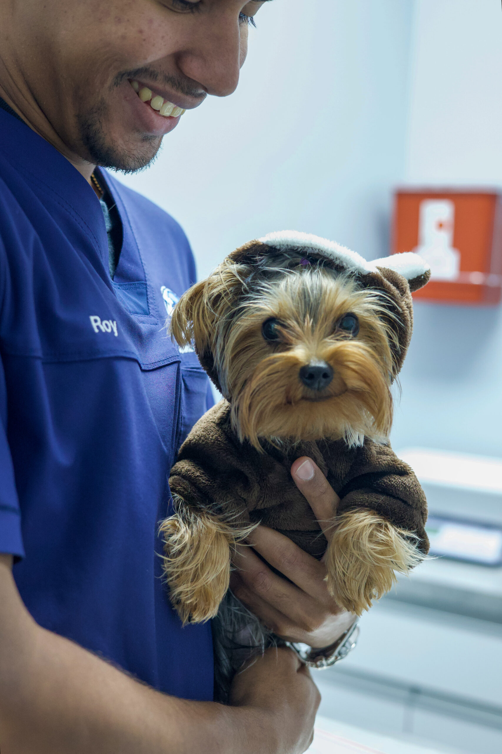Veterinary technician Roy holding a Yorkshire Terrier patient
