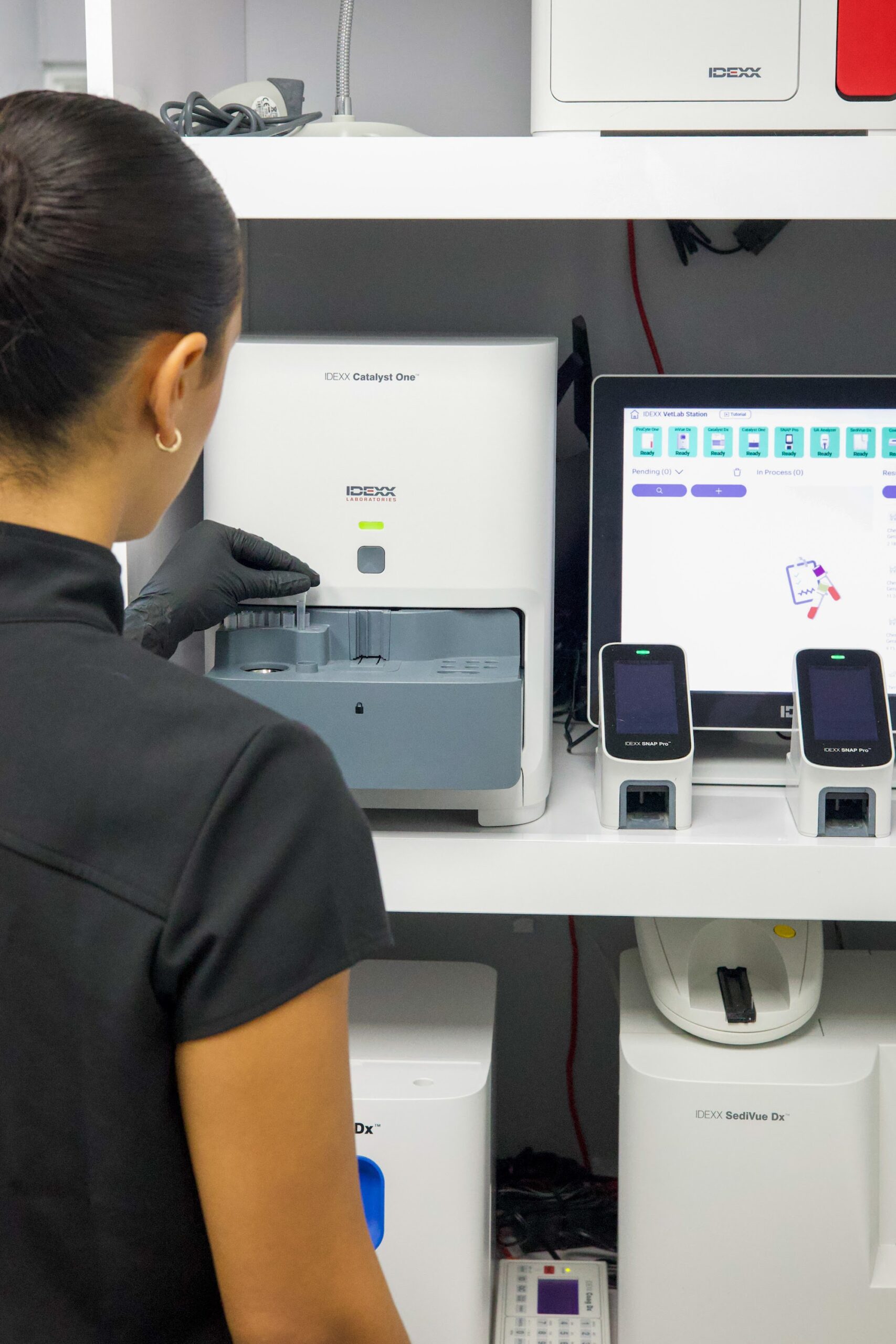 Miller Pets team member running in-house lab diagnostics