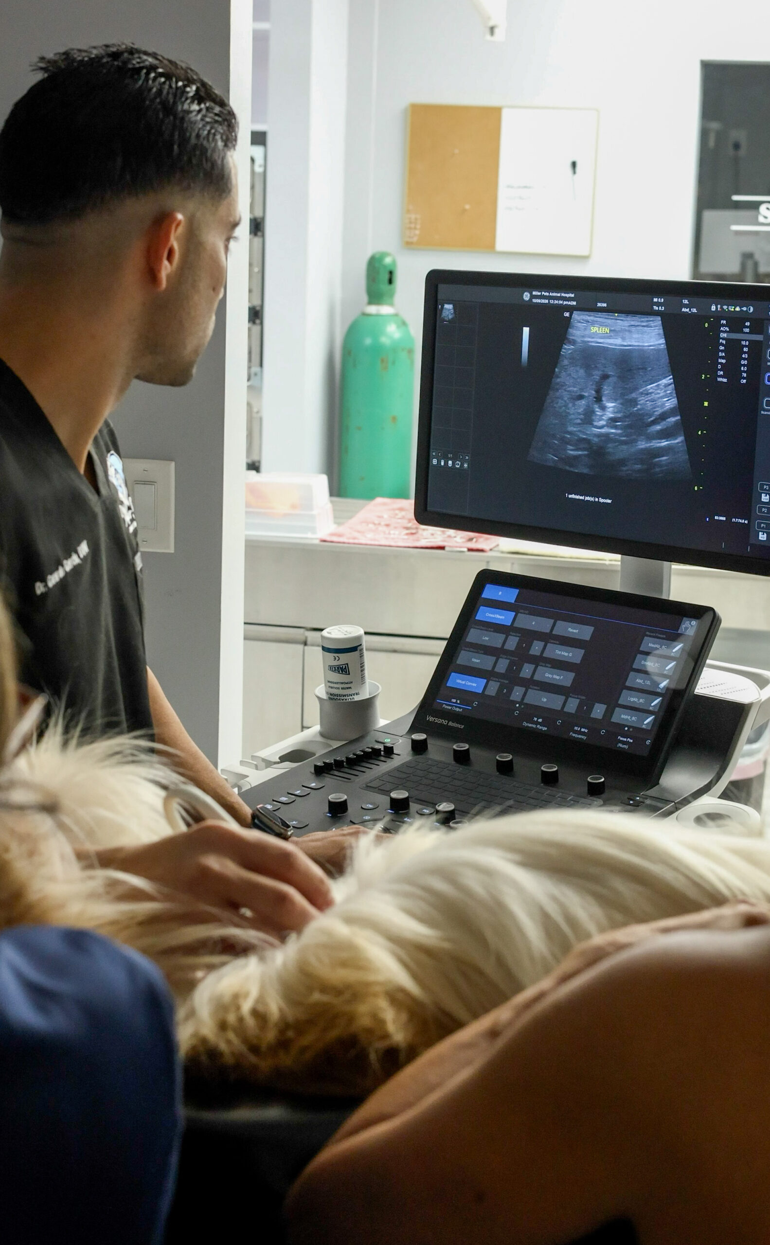 Veterinarian performing a point-of-care ultrasound on a dog at Miller Pets Animal Hospital
